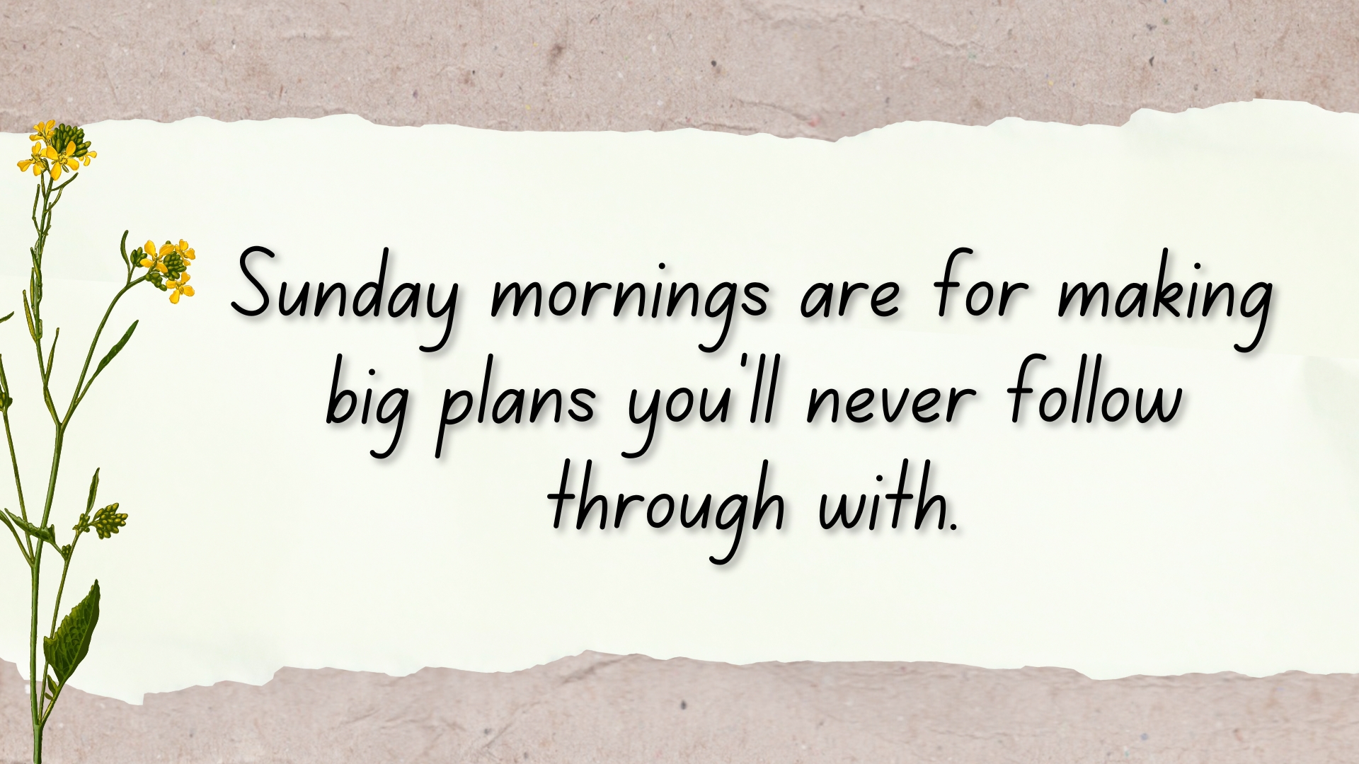 Sunday mornings are for making big plans you’ll never follow through with.